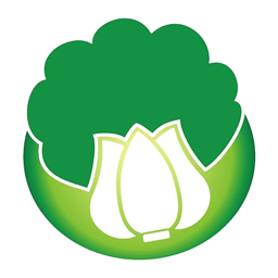 白菜辅助游戏截图