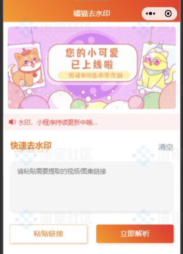 桔小猫短视频