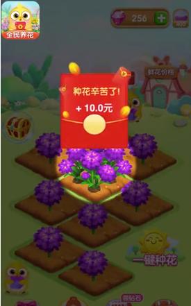 全民养花赚多多赚钱版