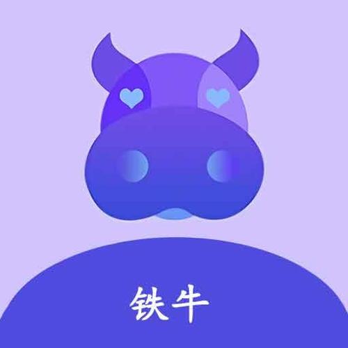 铁牛视频游戏截图