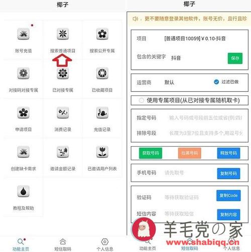 椰子助手接码软件终极版MOD游戏截图