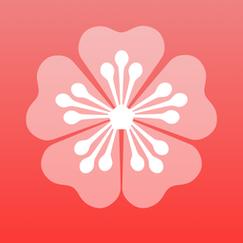 梅花视频APP旧版免费版游戏截图