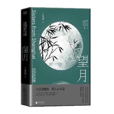 望月小说游戏截图