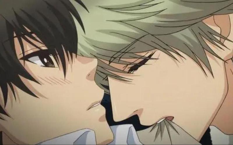 腐次元正版