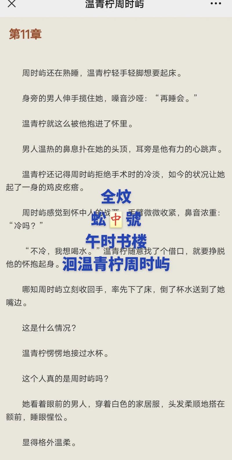 青柠小说