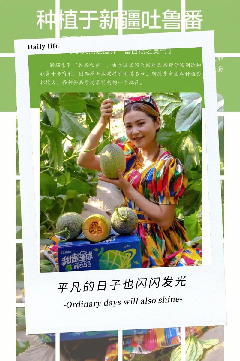 哈密瓜赚钱v1.0缩略图