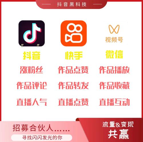 抖音涨粉丝辅助器游戏截图