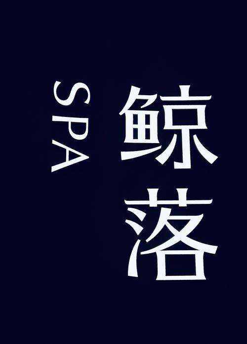 鲸海岸app