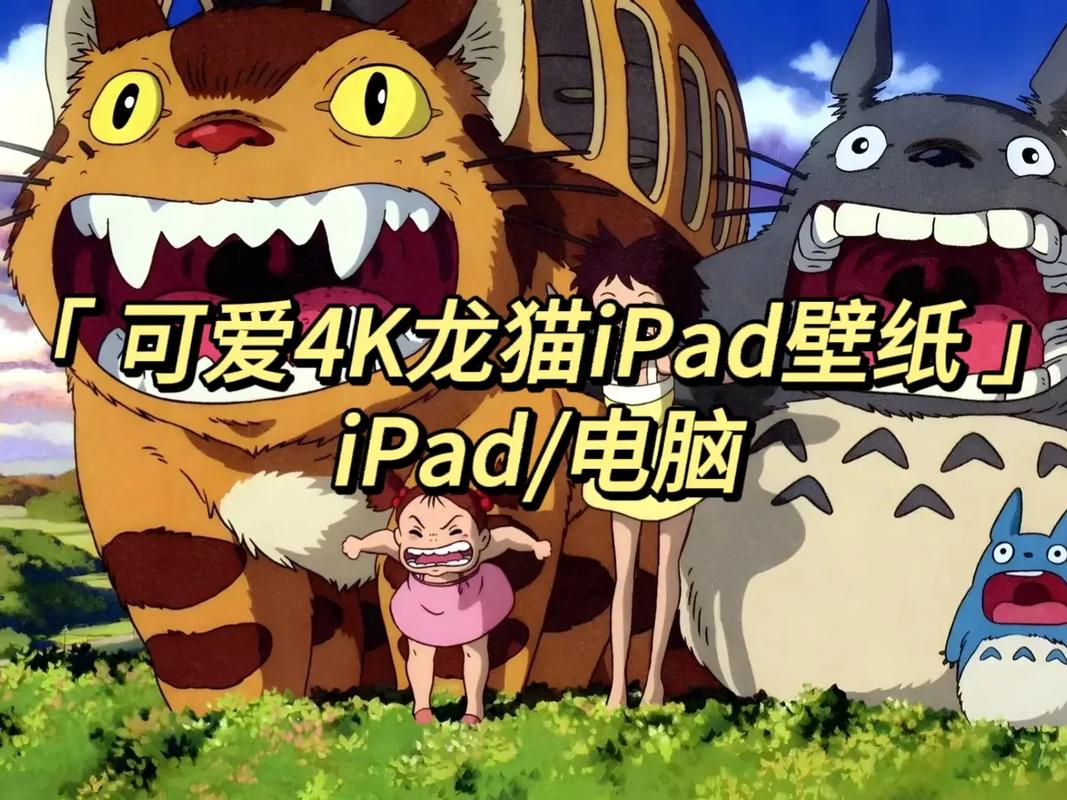 龙猫画质助手