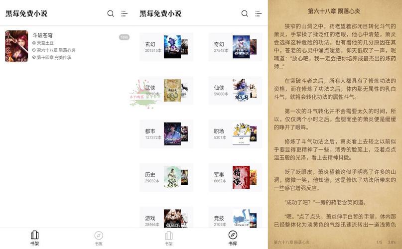 黑莓免费小说
