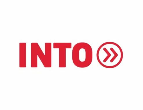 IntoDare游戏截图