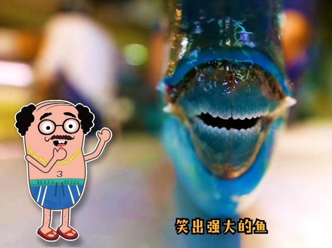 丑鱼小视频