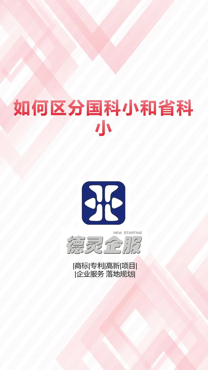 小科科视频图标