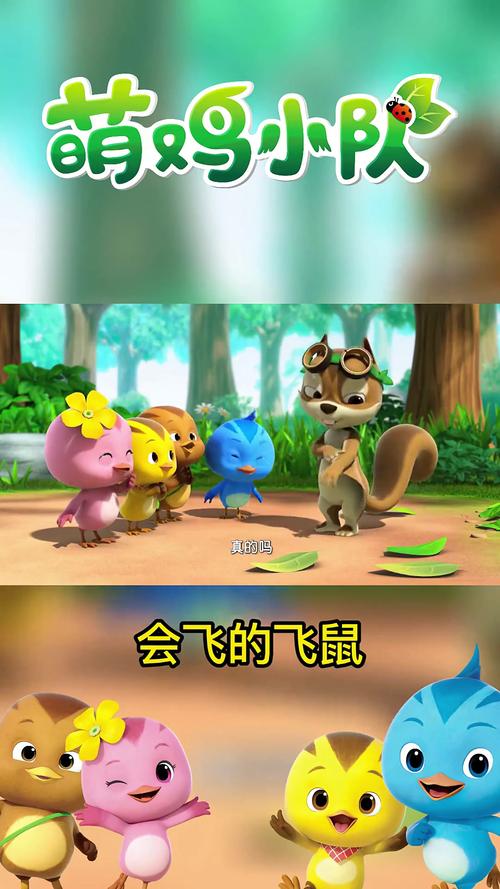 飞鼠广告