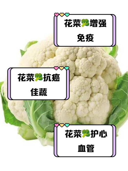 花菜资讯app游戏截图
