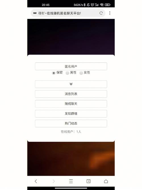 匿名聊天deskry官网版游戏截图