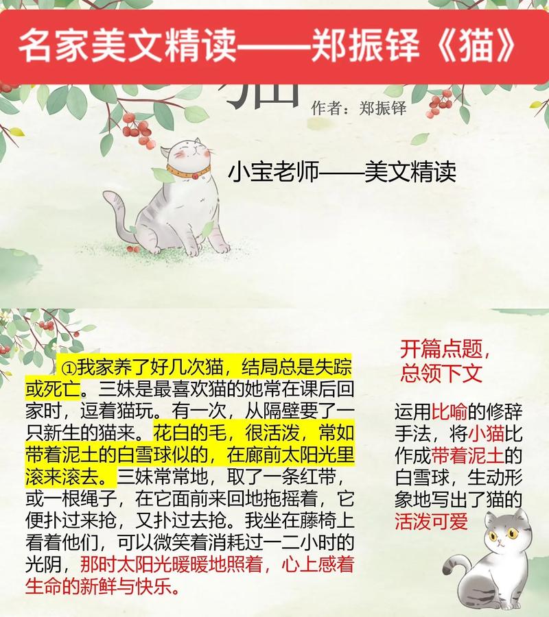小猫免费小说