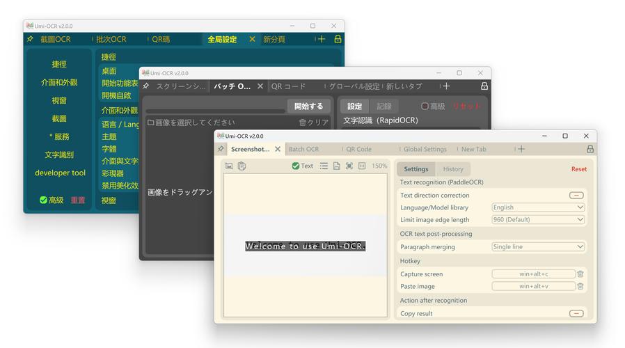 ZF众辅