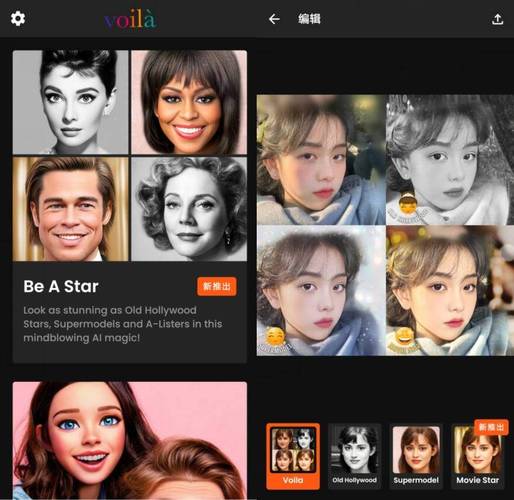 VOILA AI ARTIST