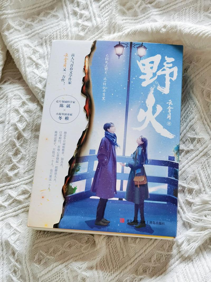 野火小说