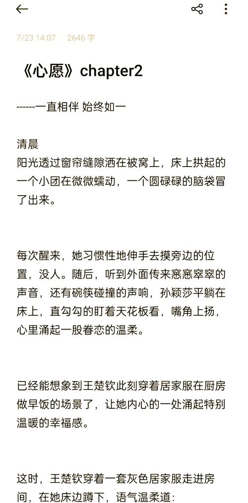 心愿小说