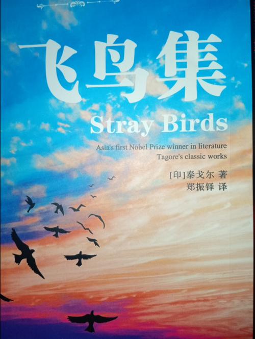 飞鸟小说(FLYINGBIRD)游戏截图