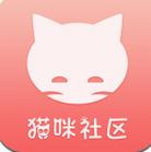 猫咪视频社区