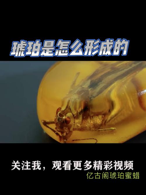 琥珀视频