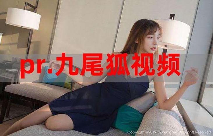 pr九天狐狸正能量 视频华为版