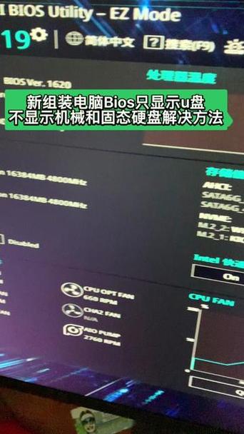 第一主板o1bz永久有效地址在哪里手机版游戏截图