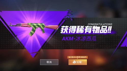 和平精英西瓜辅助游戏截图