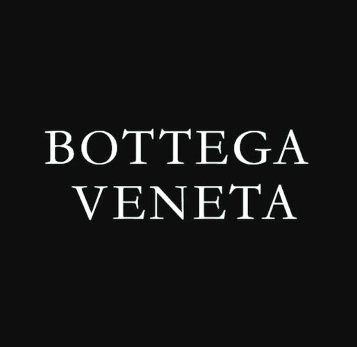 venera游戏截图