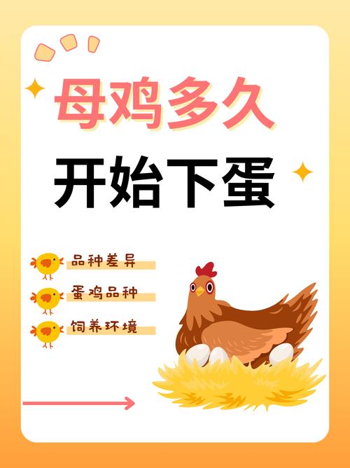 母鸡下蛋红包版app游戏截图