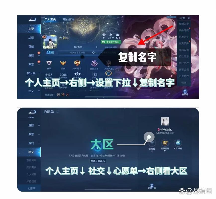 王者荣耀隐藏战绩查询助手”缩略图