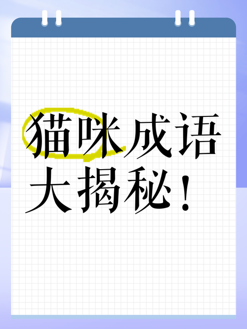 猫咪猜成语游戏截图