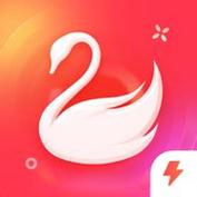 天鹅直播间app安卓版