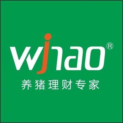 养猪分红