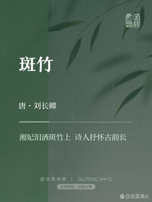斑竹小说最新版游戏截图