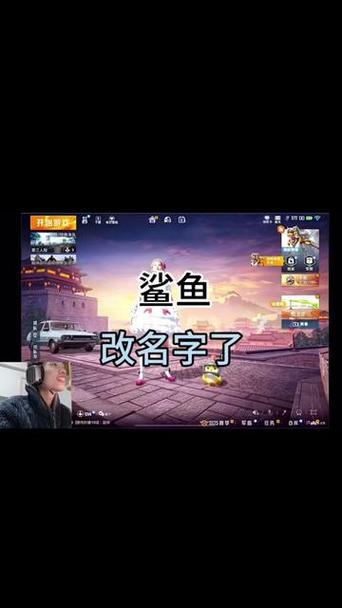 鲨鱼top和平精英游戏截图