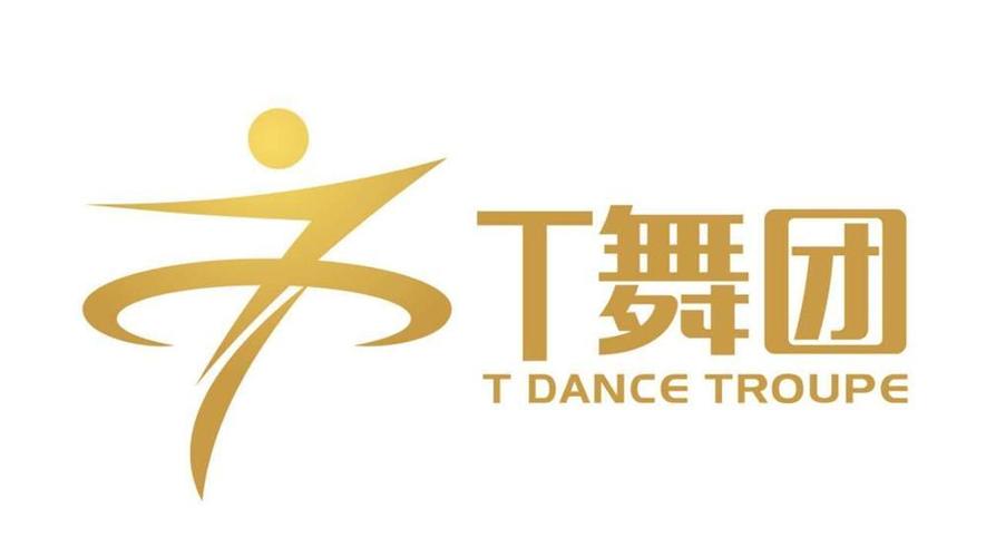 舞T小书网光环加速版游戏截图