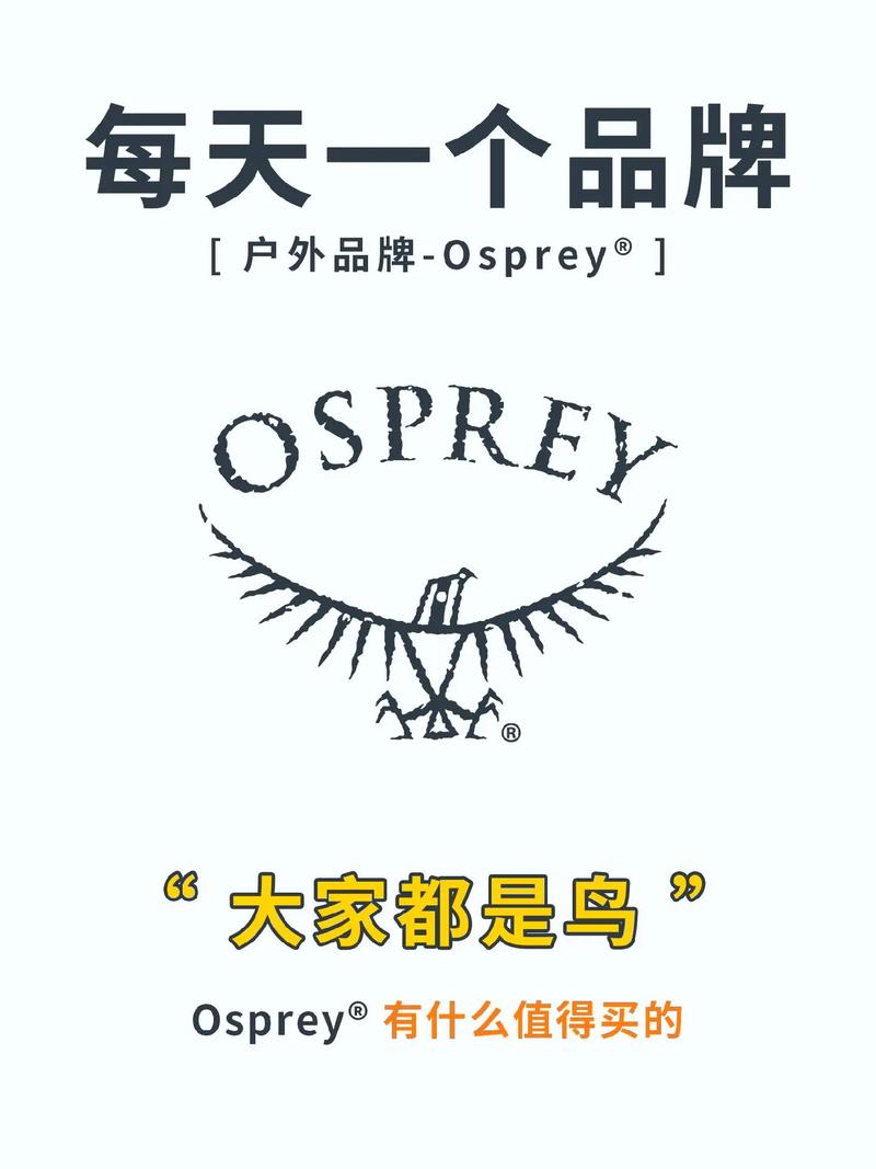 鱼鹰看广告v1.0游戏截图