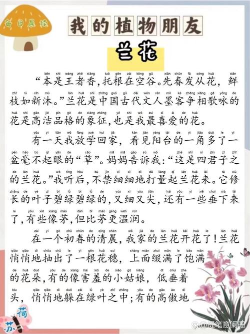 兰花阅读