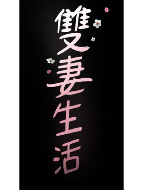 家有双妻漫画游戏截图