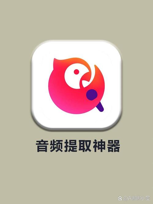 全民刷试听
