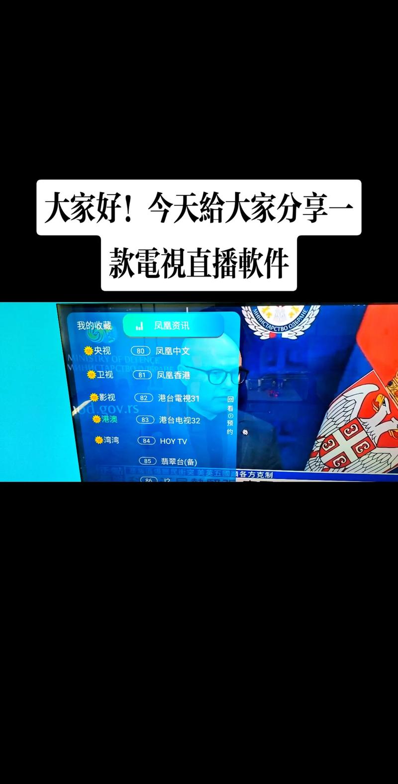 港湾直播app安卓版