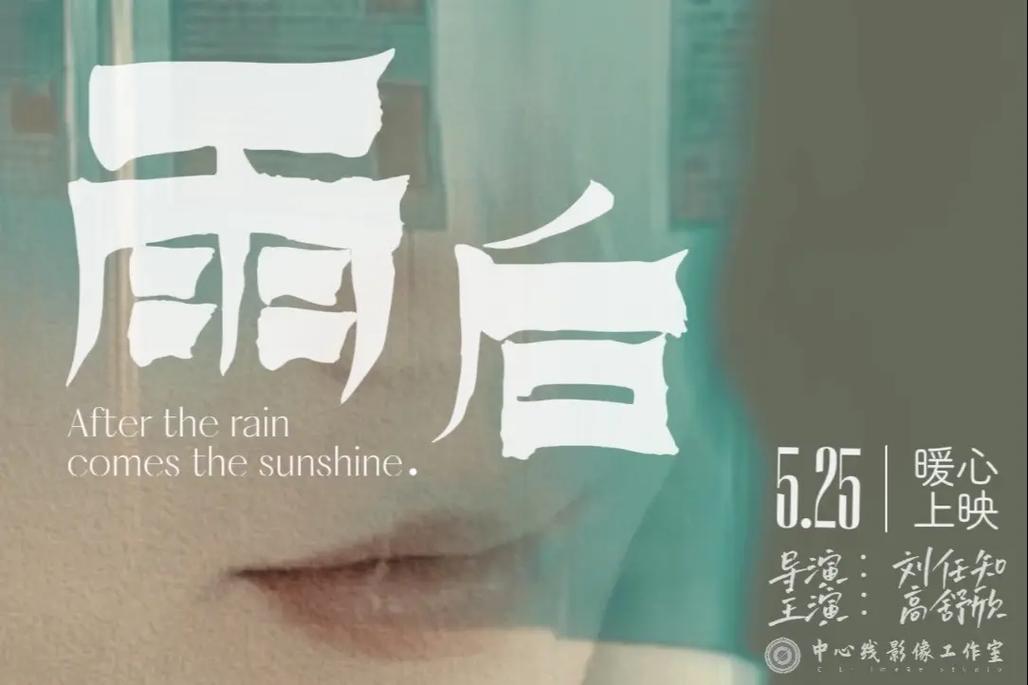 雨后小说缩略图