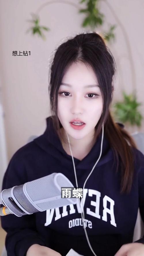 雨蝶直播免费版