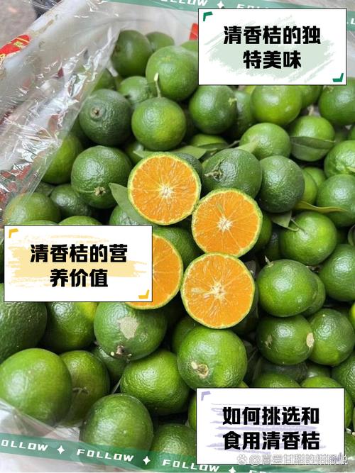 香桔