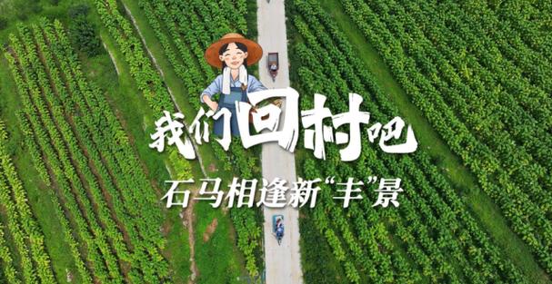 一起回农村游戏截图