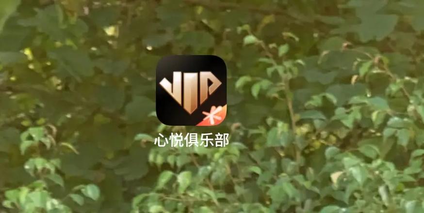 心悦科技平台赚钱缩略图